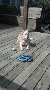 IMG_20130420_110422_616