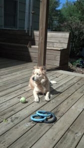 IMG_20130420_110445_404