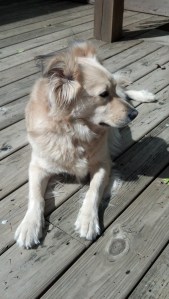 IMG_20130420_110454_101