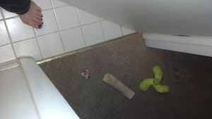 IMG_20130423_100540_097