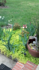 IMG_20130428_120146_986