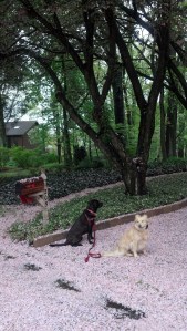 IMG_20130430_115856_823