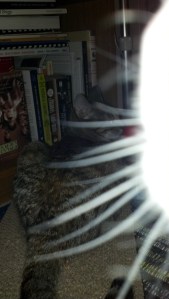 2012-02-18_00-28-28_141