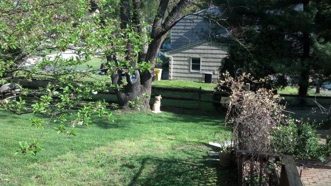 IMG_20130426_093618_677