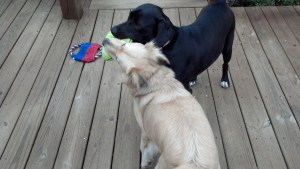 2012-03-31_14-32-09_716