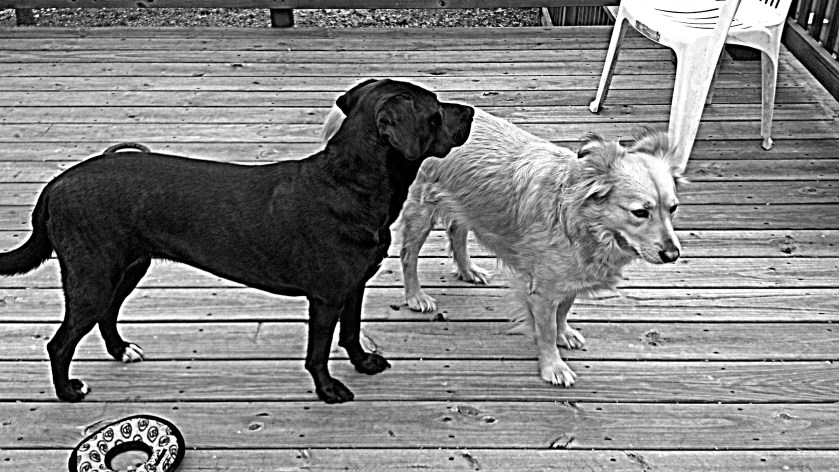 2013-03-01_12-21-41_227