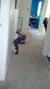 IMG_20130601_065232_228