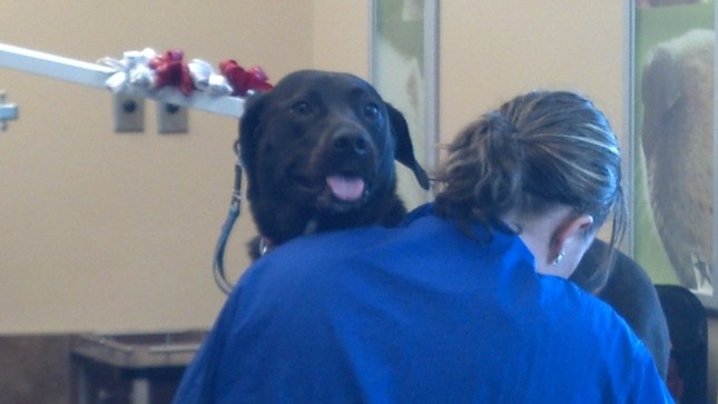 IMG_20130611_101419_890