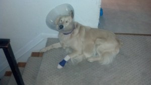 IMG_20130625_060858_632