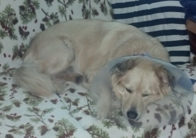 IMG_20130625_082127_270