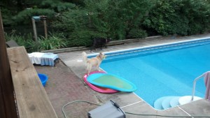 IMG_20130724_183454_011