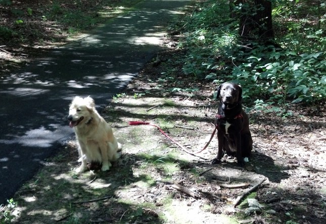 Louise  Sofie Park Aug 2013