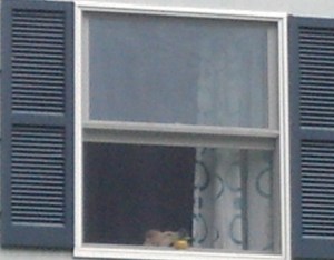 Sofie Window closeup