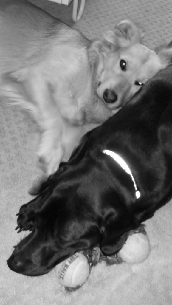 She always gets the balls