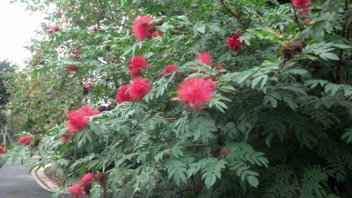 IMG_20131105_124339_098