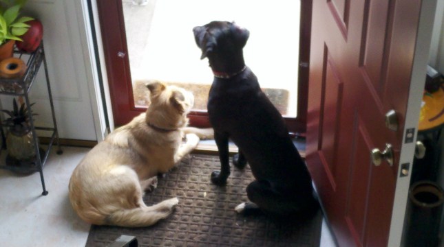 2011-12-22_13-02-41_104