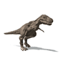 trex_walk_sm_nwm