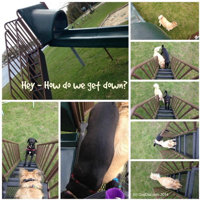 Slide Collage May 2014