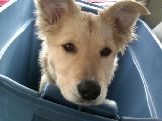 IMG00098-20110309-0850