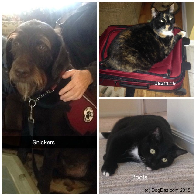 WW 4.15.15 Aunt B visit