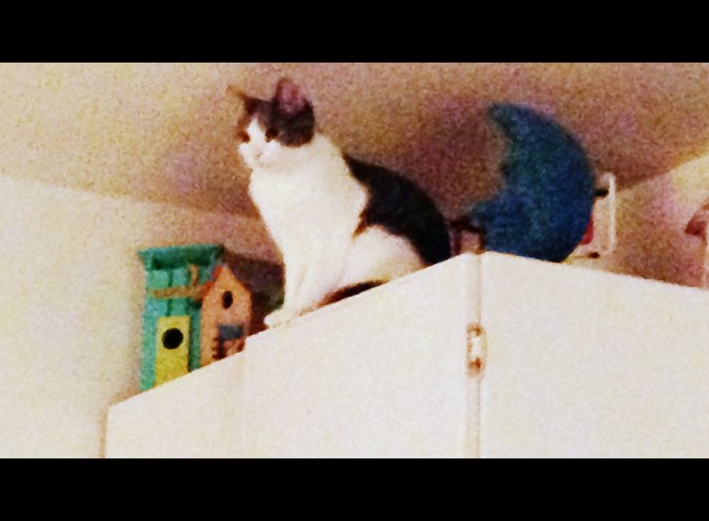 WW 6.10.15 Nine at Night