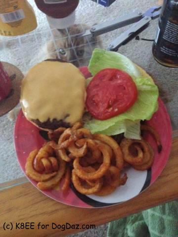 MM 8.31.15 Cricket Cheezeburger