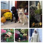 Monday Mischief:  Spooky Decorating with&nbsp;Mom