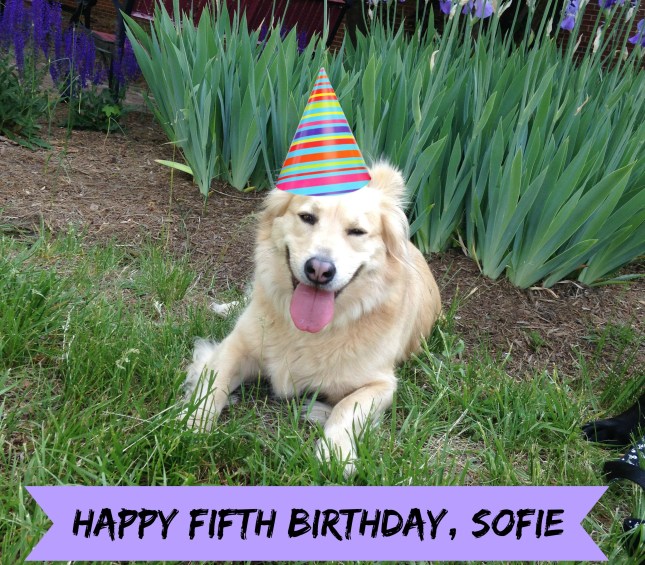 sofie 5 bday