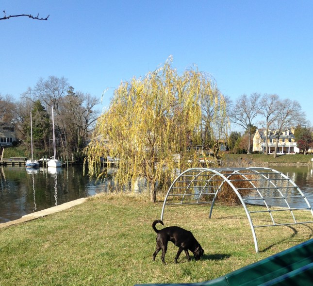 Dec 2015 Breezy Point