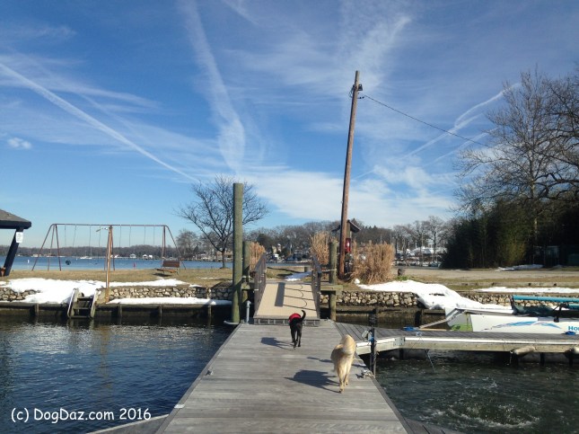 WW 2.10.16 Winter Sky 2