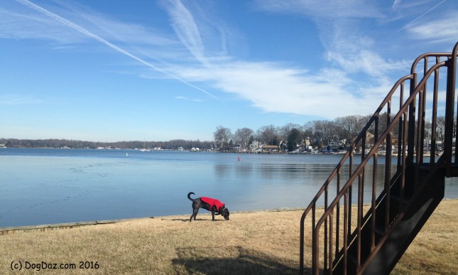 WW 2.10.16 Winter Sky
