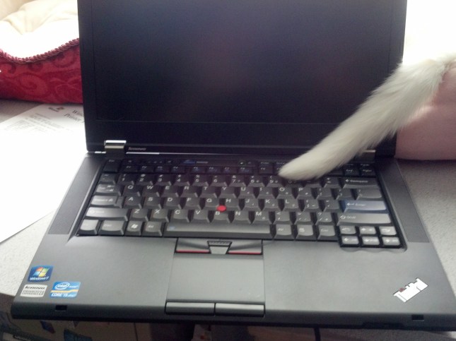 2012-03-15_11-37-14_37