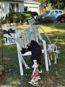 fake skeleton sitting in chair with 2 little dogs jumping on it