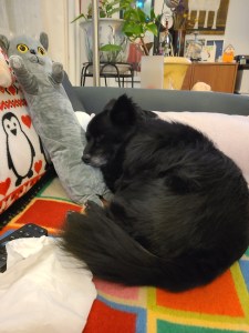 A black little dog sleeping on a gray cat stuffed animal