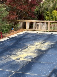 a pool cover with polen and maple seeds all over the top